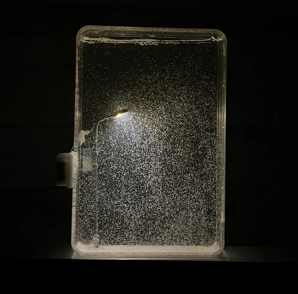 Snow Dusk Lamp